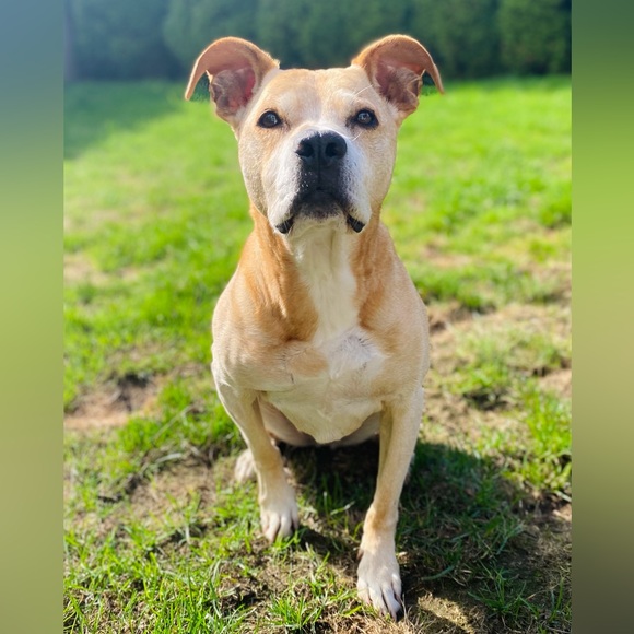 Hi I’m Sarah G - Picture 3 of 3